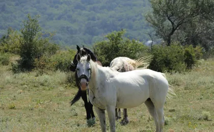 Bulgarian countryside off-road tour from Varna