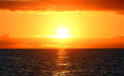 Madeira Living Sea Sunset Cruise with Dinner