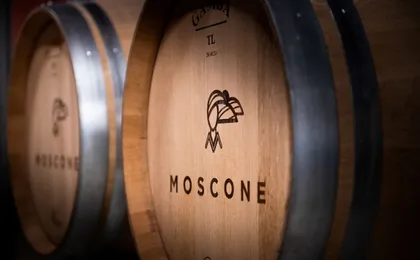 Langhe's wine tour with Nebbiolo, Barbaresco, and Barolo tasting