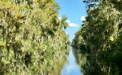 Airboat ride through the New Orleans wetlands