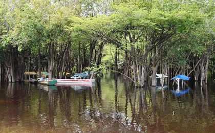 6 Days Amazon Jungle Adventure Tour