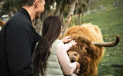 TSS Earnslaw cruise and Walter Peak farm tour
