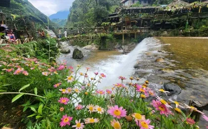 Sapa and Fansipan private 3-day experience with homestay