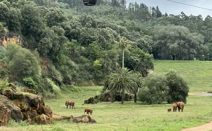 Cabárceno Nature Park entrance tickets