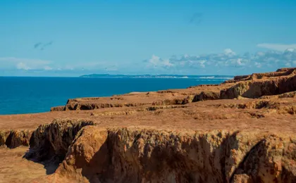Pipa Day Trip - Group Tour Spanish and Portuguese