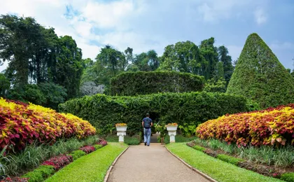 Kandy, Sigiriya and Dambulla two-day tour