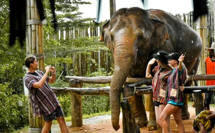 Half-day observation at Elephant Jungle Sanctuary from Phuket