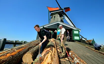 Zaanse Schans Card