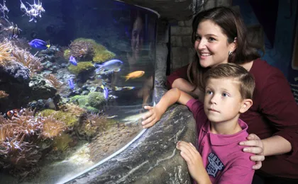 Entrance tickets to Timmendorfer Sea Life aquarium
