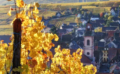 Alsace full-day shared wine tour from Colmar