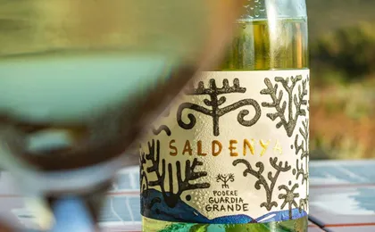 Guided vineyard tour with wine-tasting