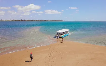 Turtle discovery ecotour