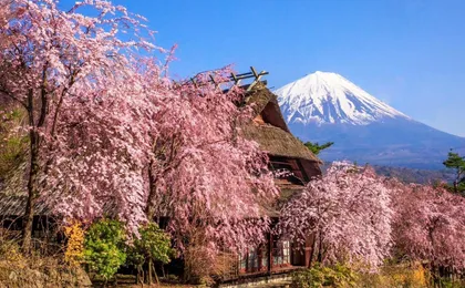 Mount Fuji top 4 must-visit attractions full day tour from Tokyo