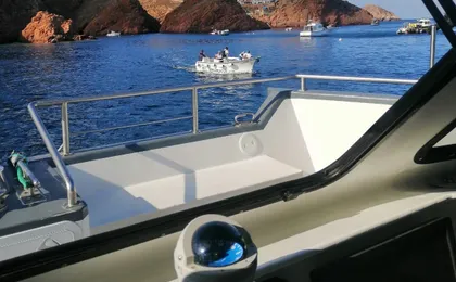 Berlenga island trip, glass-bottom boat cave tour and snorkeling