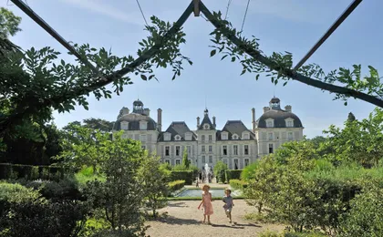Loire Valley e-bike tour with Chateau de Cheverny and wine tasting