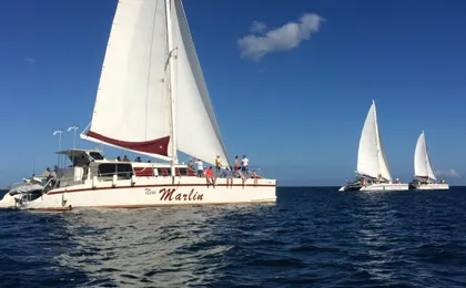 Pura vida sunset cruise