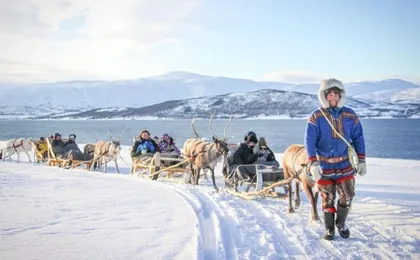 Sami Culture Experience with 10-Minute Reindeer Sledding