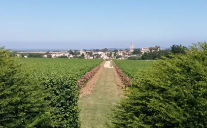 Half-day trip to Saint-Emilion wine estates from Bordeaux