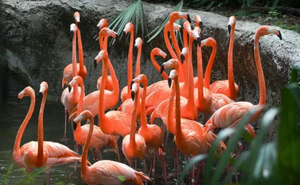Tickets to ZooQuarium in Tampa
