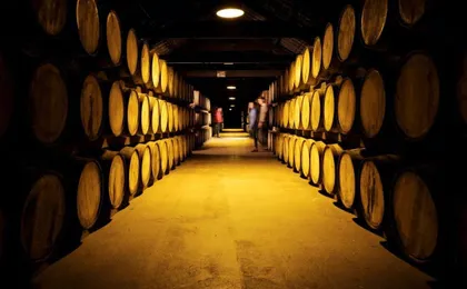 Jameson Midleton distillery experience tour