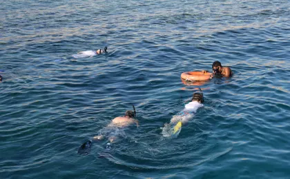 Half-day snorkeling boat trip in Sharm El Sheikh with lunch and drinks