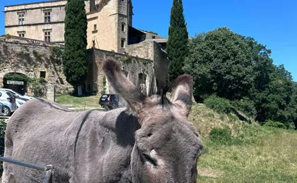 Half-Day Tour of the Hilltop Villages in Luberon from Aix-en-Provence