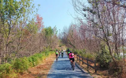 Ecopista do Dão full-day bike tour from Coimbra