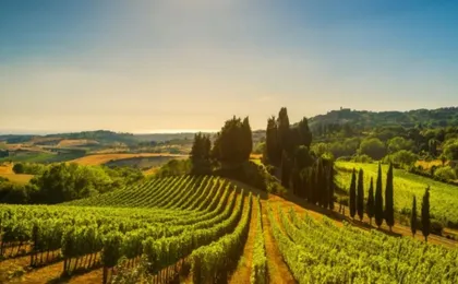 A journey through Piedmont's tradition and wines