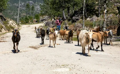 Peneda-Gerês National Park motorcycle tour