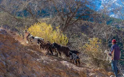2 Day Berber villages trek from Marrakech - Atlas Valleys Trek