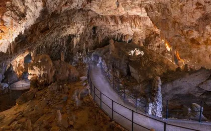 Small group tour to Lipica Stud Farm and Postojna Caves from Zagreb