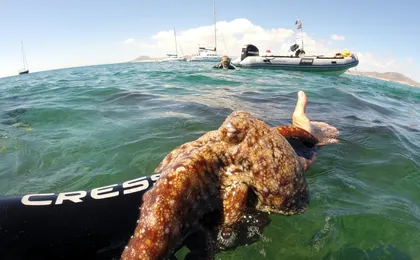 Snorkelling Experience in Corralejo