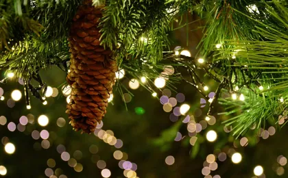 Magic Christmas tour in Canterbury