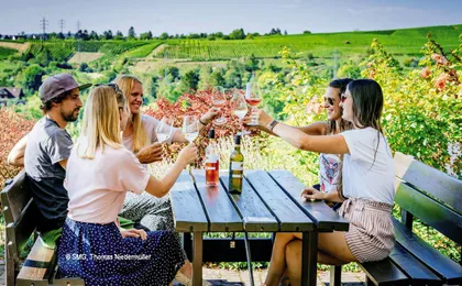 24-hour Stuttgart hop-on hop-off bus winetour