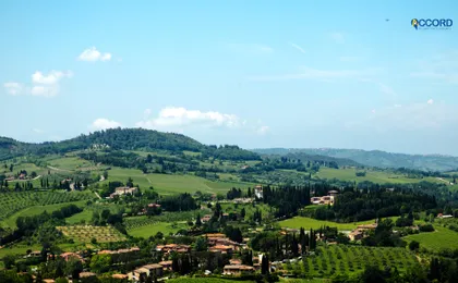 Private Tour - Classic Chianti Villages & San Gimignano with Wine Tastings & Lunch