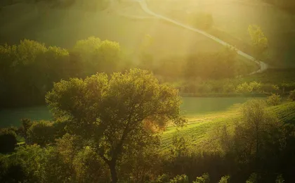 Sunset Wine Tour from Siena to Chianti with Dinner