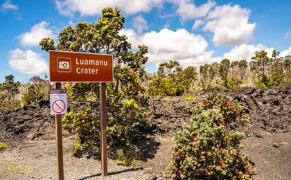 Hawaii Volcanoes National Park Self-Guided Driving Audio Tour