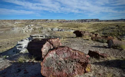 Self-guided driving audio tour of the Petrified Forest National Park