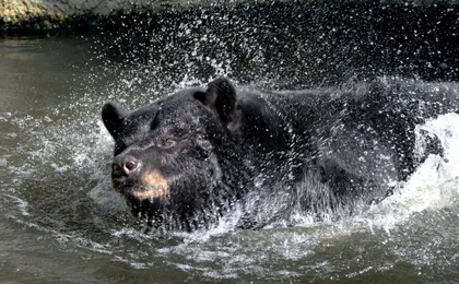 Tickets to ZooQuarium in Tampa
