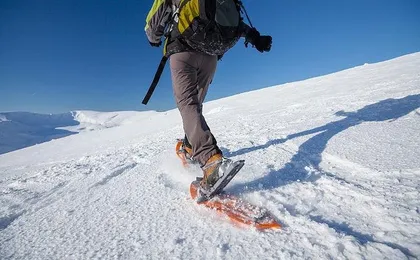Private Tromsø snowshoeing tour with a TeslaX car ride