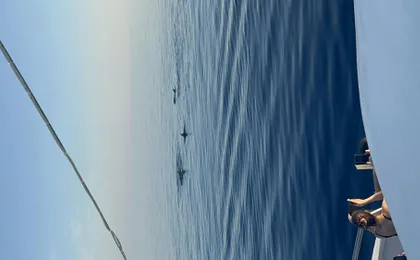 Pula dolphin-watching boat tour with dinner on board