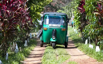Sri Lankan Farm and Spice Traditions Tour with Tuk Tuk ride