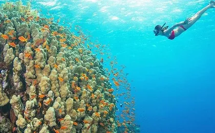 Mnemba Island, Nungwi Village & Sea Turtle Experience