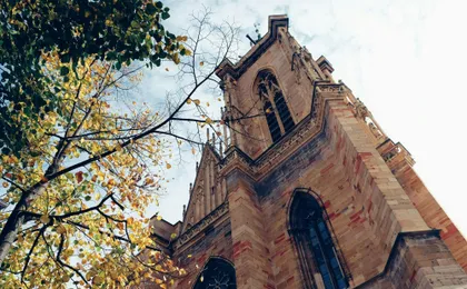 60 minutes walking tour in Colmar with a Local
