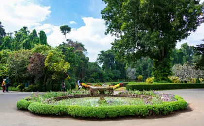 Kandy day tour with temple of the Tooth Relic visit