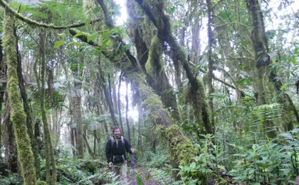 7 Day Kilimanjaro Climb - Machame route
