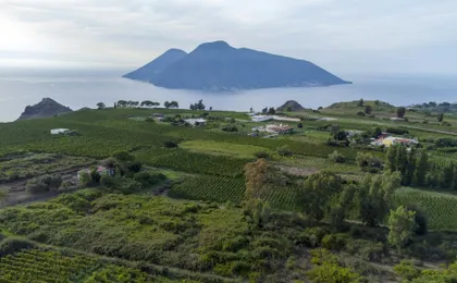 Guided Vineyard Tour and Wine Tasting on Lipari Island