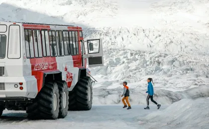 Columbia Icefield and Peyto Lake day tour from Banff