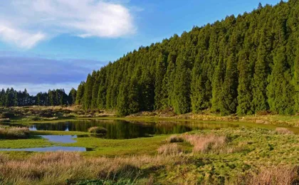 Terceira lava route full-day tour with wine tasting experience