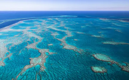 1 hour scenic flight, Whitehaven Beach, Hill Inlet, GBR and Heart Reef